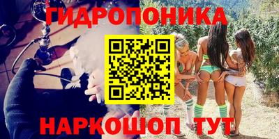 тгк Гусь-Хрустальный