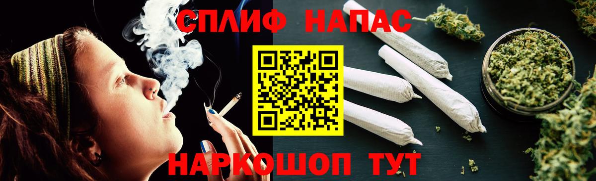 Каннабис план  Бошки Шишки планчик  Вход с VPN  Кисловодск 